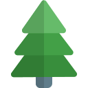 Jones Family Tree